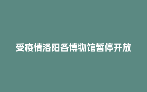 受疫情洛阳各博物馆暂停开放