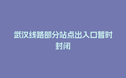 武汉线路部分站点出入口暂时封闭