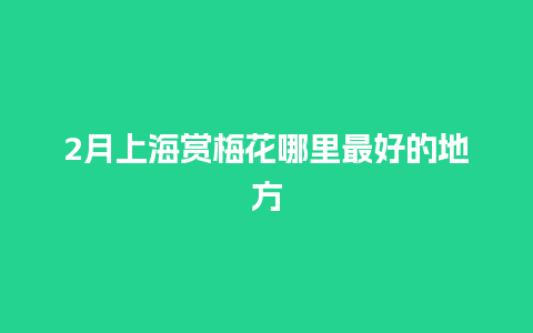 2月上海赏梅花哪里最好的地方