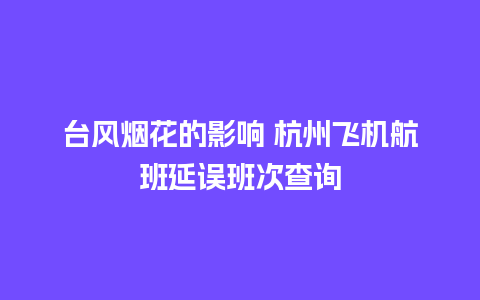 台风烟花的影响 杭州飞机航班延误班次查询