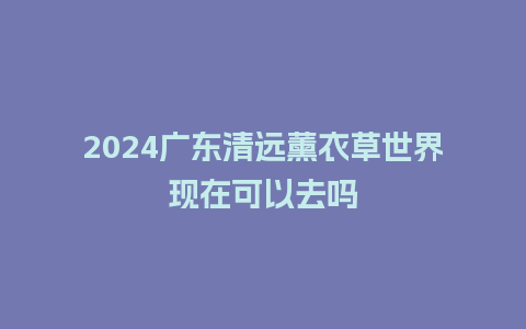 2024广东清远薰衣草世界现在可以去吗