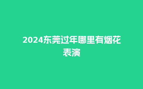 2024东莞过年哪里有烟花表演