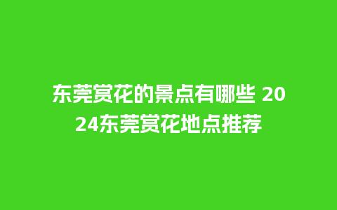 东莞赏花的景点有哪些 2024东莞赏花地点推荐