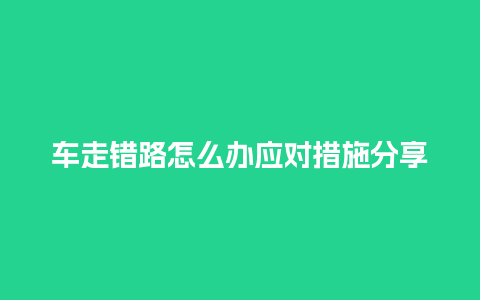 车走错路怎么办应对措施分享