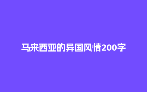 马来西亚的异国风情200字