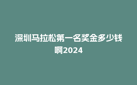 深圳马拉松第一名奖金多少钱啊2024