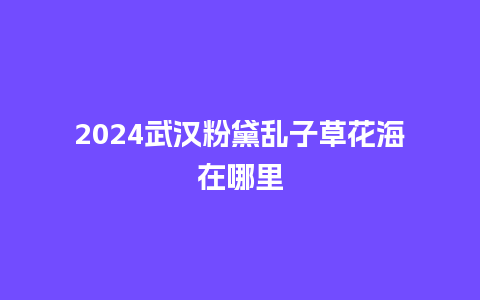 2024武汉粉黛乱子草花海在哪里