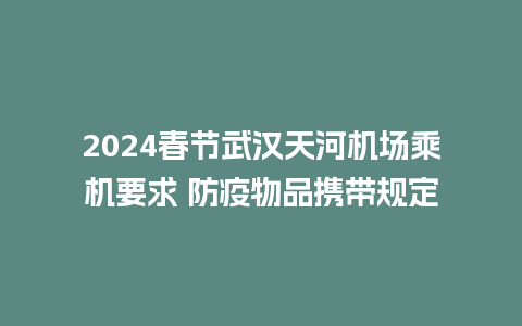 2024春节武汉天河机场乘机要求 防疫物品携带规定