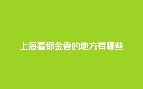 上海看郁金香的地方有哪些