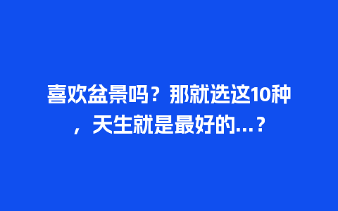 喜欢盆景吗？那就选这10种，天生就是最好的…？