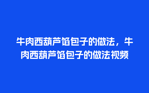 牛肉西葫芦馅包子的做法，牛肉西葫芦馅包子的做法视频