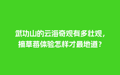 武功山的云海奇观有多壮观，摘草莓体验怎样才最地道？