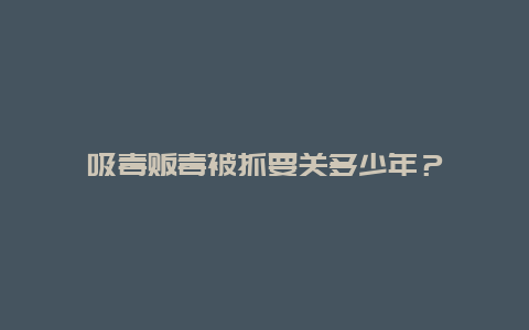 吸毒贩毒被抓要关多少年？