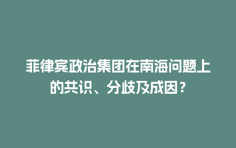 菲律宾政治集团在南海问题上的共识、分歧及成因？