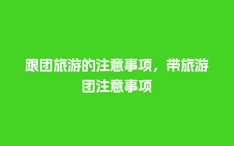 跟团旅游的注意事项，带旅游团注意事项