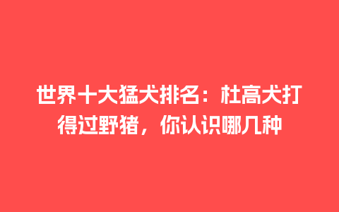 世界十大猛犬排名：杜高犬打得过野猪，你认识哪几种