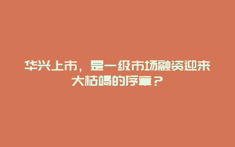 华兴上市，是一级市场融资迎来大枯竭的序章？