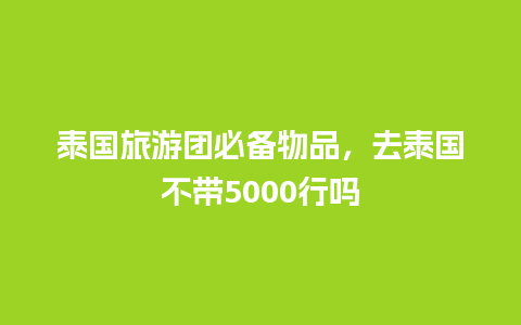 泰国旅游团必备物品，去泰国不带5000行吗