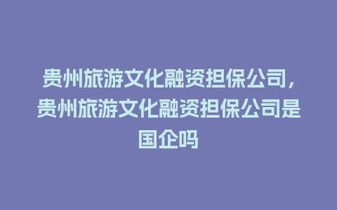 贵州旅游文化融资担保公司，贵州旅游文化融资担保公司是国企吗