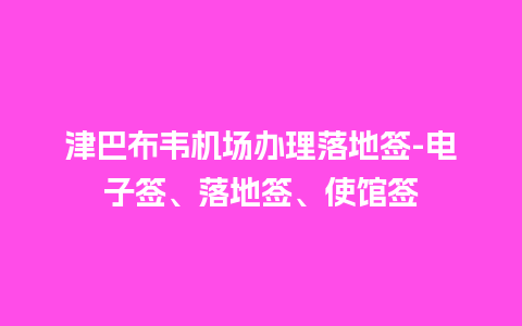 津巴布韦机场办理落地签-电子签、落地签、使馆签