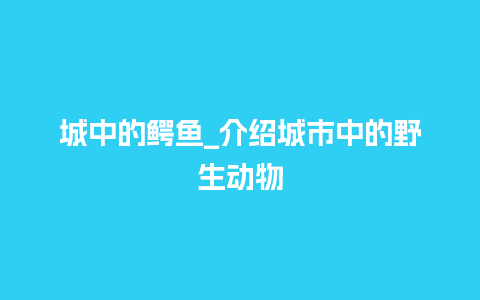 城中的鳄鱼_介绍城市中的野生动物