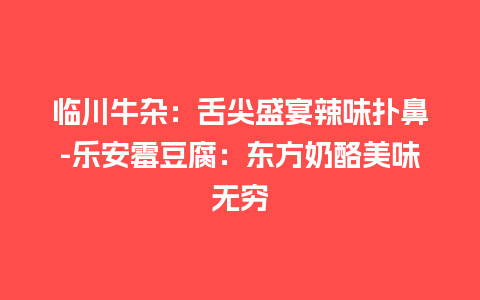 临川牛杂：舌尖盛宴辣味扑鼻-乐安霉豆腐：东方奶酪美味无穷