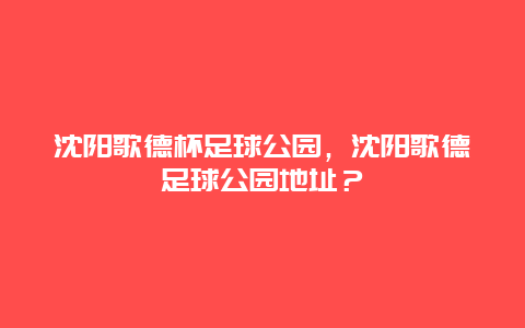 沈阳歌德杯足球公园，沈阳歌德足球公园地址？