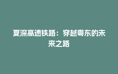 夏深高速铁路：穿越粤东的未来之路