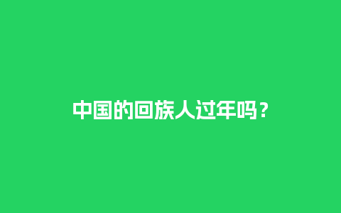 中国的回族人过年吗？