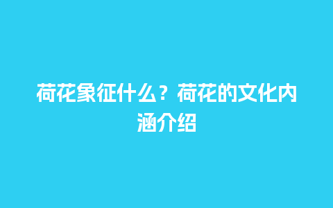 荷花象征什么？荷花的文化内涵介绍