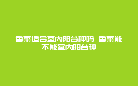 香菜适合室内阳台种吗 香菜能不能室内阳台种