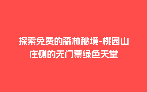 探索免费的森林秘境-桃园山庄侧的无门票绿色天堂