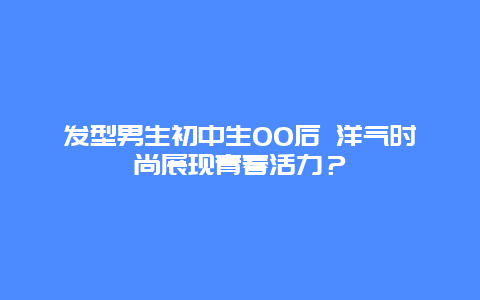 发型男生初中生00后 洋气时尚展现青春活力？