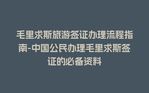 毛里求斯旅游签证办理流程指南-中国公民办理毛里求斯签证的必备资料