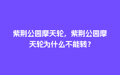 紫荆公园摩天轮，紫荆公园摩天轮为什么不能转？