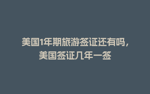 美国1年期旅游签证还有吗，美国签证几年一签