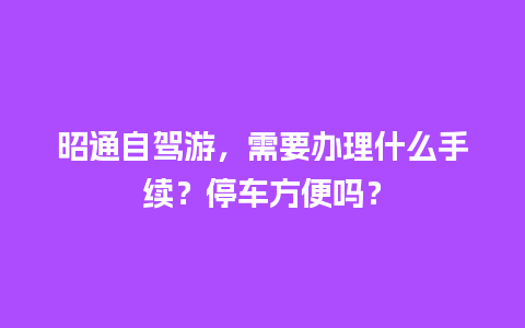 昭通自驾游，需要办理什么手续？停车方便吗？