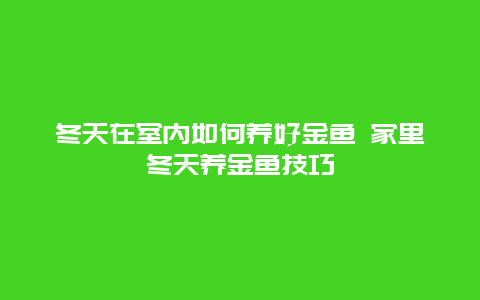 冬天在室内如何养好金鱼 家里冬天养金鱼技巧