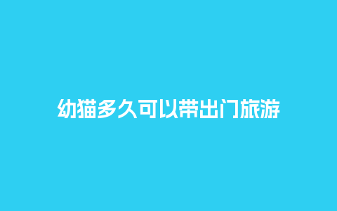 幼猫多久可以带出门旅游