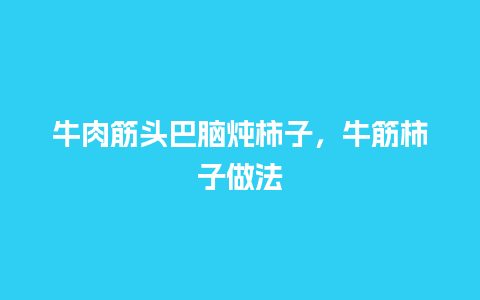 牛肉筋头巴脑炖柿子，牛筋柿子做法