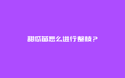 甜瓜苗怎么进行整枝？