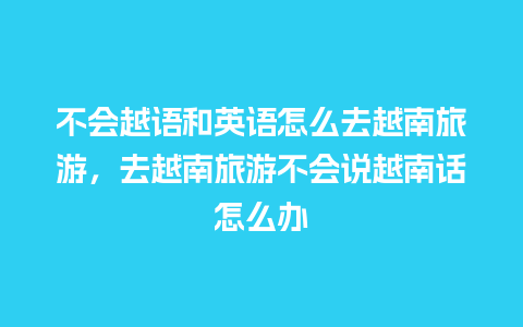 不会越语和英语怎么去越南旅游，去越南旅游不会说越南话怎么办