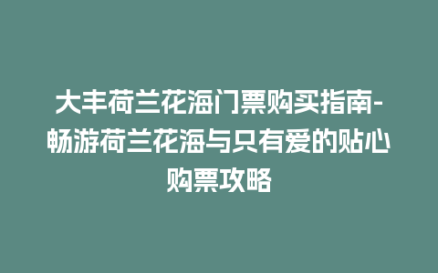 大丰荷兰花海门票购买指南-畅游荷兰花海与只有爱的贴心购票攻略