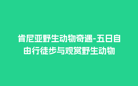 肯尼亚野生动物奇遇-五日自由行徒步与观赏野生动物