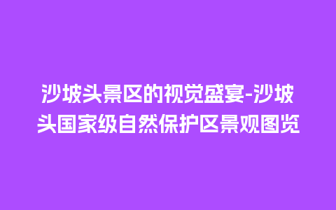 沙坡头景区的视觉盛宴-沙坡头国家级自然保护区景观图览