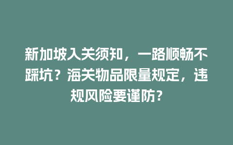 新加坡入关须知，一路顺畅不踩坑？海关物品限量规定，违规风险要谨防？