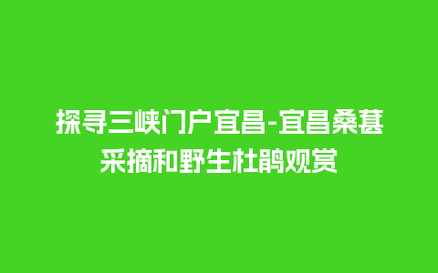 探寻三峡门户宜昌-宜昌桑葚采摘和野生杜鹃观赏