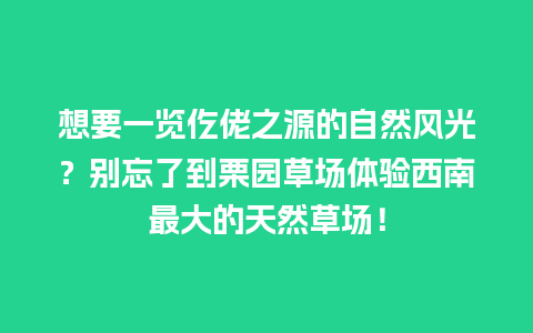 想要一览仡佬之源的自然风光？别忘了到栗园草场体验西南最大的天然草场！