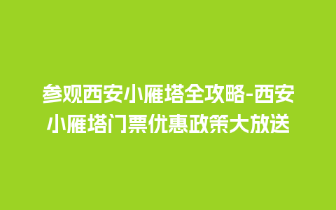 参观西安小雁塔全攻略-西安小雁塔门票优惠政策大放送