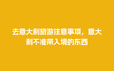 去意大利旅游注意事项，意大利不准带入境的东西